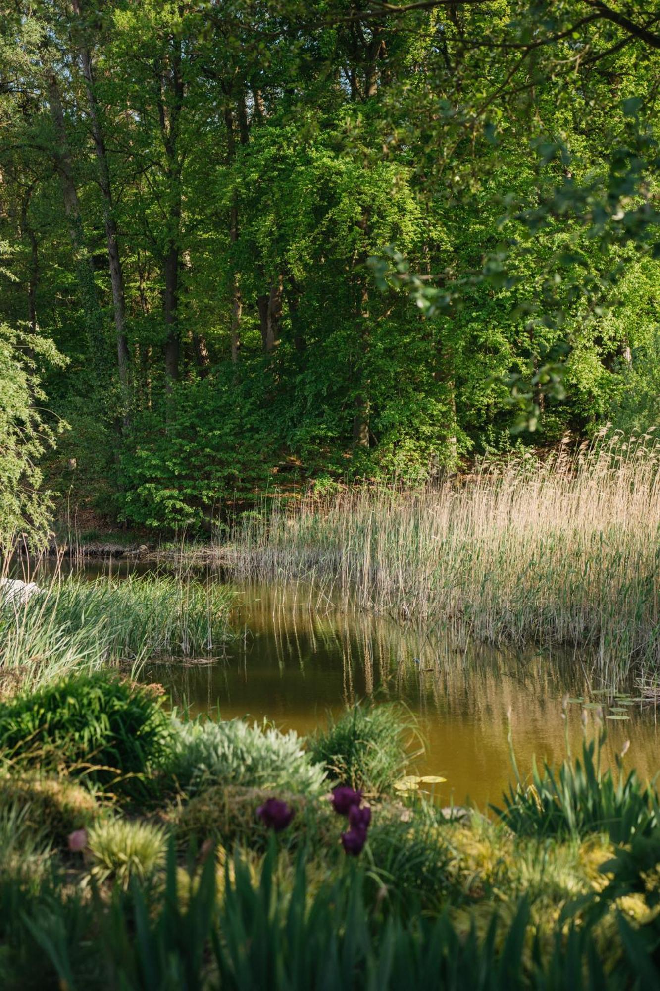 Muehle Tornow Am Wentowsee Exteriör bild