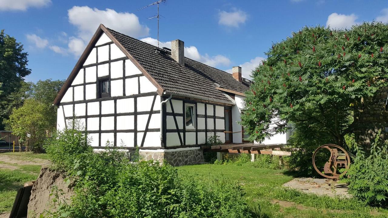 Muehle Tornow Am Wentowsee Exteriör bild